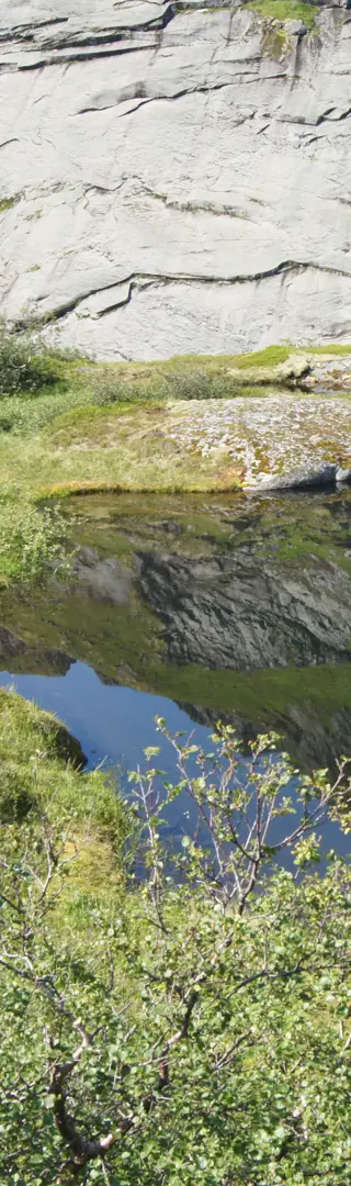 Spieglein, Spieglein...